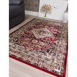 Aziza Medallion Red Rug - Buy Furniture Online | Modern Furniture USA & Gulf