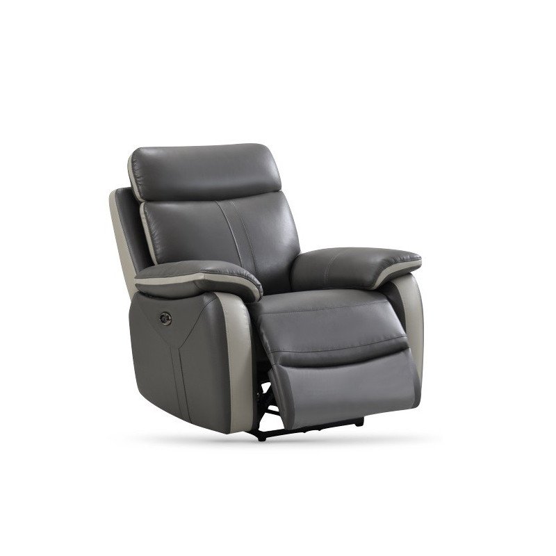 Covington Armchair Electric - Buy Furniture Online | Modern Furniture USA & Gulf